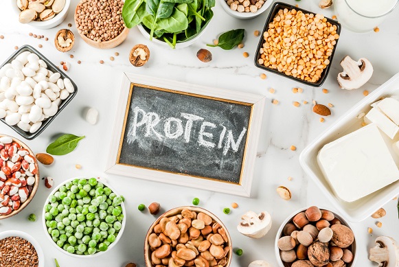 The Protein Myth